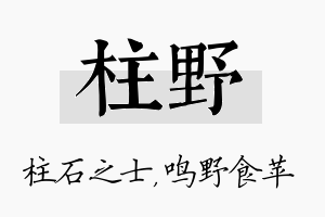 柱野名字的寓意及含义