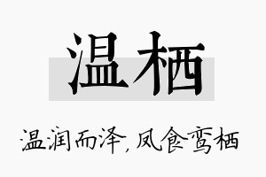 温栖名字的寓意及含义