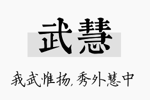 武慧名字的寓意及含义