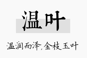 温叶名字的寓意及含义