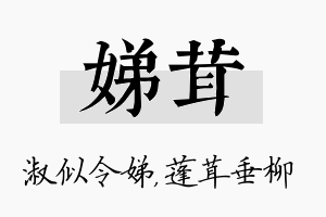 娣茸名字的寓意及含义