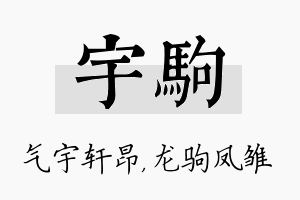 宇驹名字的寓意及含义