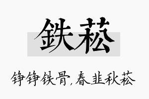 铁菘名字的寓意及含义