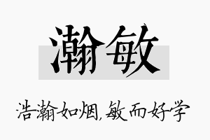 瀚敏名字的寓意及含义