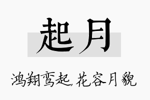 起月名字的寓意及含义