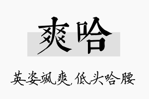 爽哈名字的寓意及含义