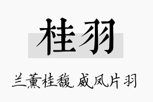 桂羽名字的寓意及含义