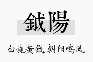 钺阳名字的寓意及含义