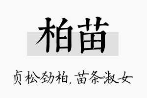 柏苗名字的寓意及含义