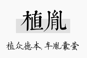 植胤名字的寓意及含义