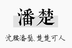 潘楚名字的寓意及含义