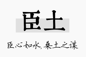 臣土名字的寓意及含义