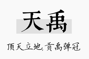 天禹名字的寓意及含义