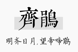 齐鹃名字的寓意及含义