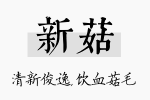 新菇名字的寓意及含义