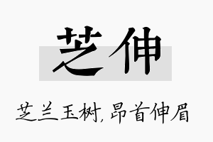 芝伸名字的寓意及含义