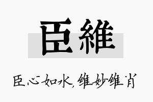 臣维名字的寓意及含义