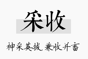 采收名字的寓意及含义