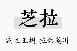 芝拉名字的寓意及含义