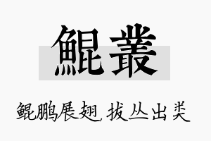 鲲丛名字的寓意及含义