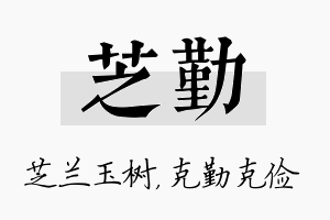 芝勤名字的寓意及含义