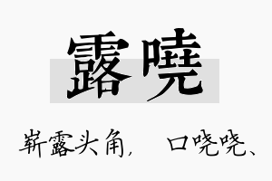 露哓名字的寓意及含义