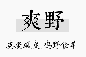 爽野名字的寓意及含义