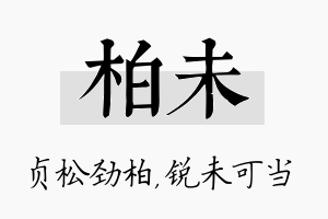 柏未名字的寓意及含义