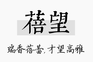 蓓望名字的寓意及含义