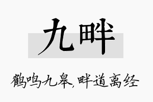 九畔名字的寓意及含义