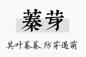 蓁芽名字的寓意及含义