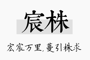 宸株名字的寓意及含义