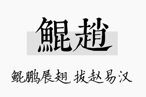 鲲赵名字的寓意及含义