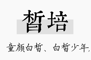 皙培名字的寓意及含义