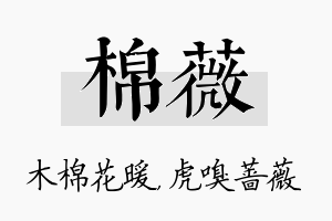 棉薇名字的寓意及含义