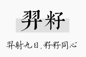 羿籽名字的寓意及含义