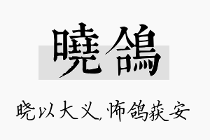 晓鸽名字的寓意及含义