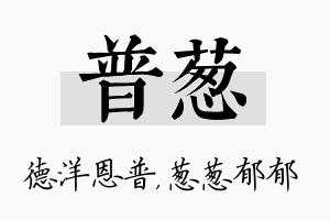 普葱名字的寓意及含义