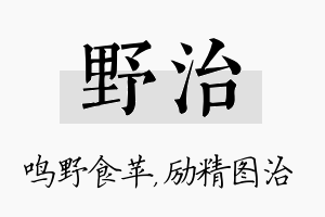 野治名字的寓意及含义