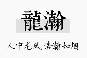 龙瀚名字的寓意及含义