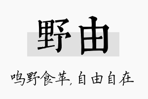 野由名字的寓意及含义