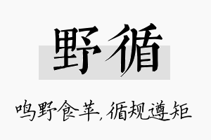 野循名字的寓意及含义