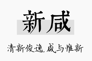 新咸名字的寓意及含义