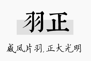 羽正名字的寓意及含义