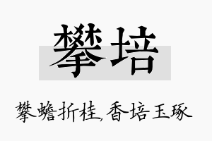 攀培名字的寓意及含义