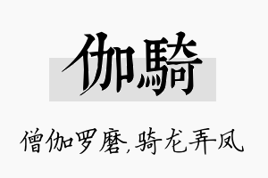 伽骑名字的寓意及含义