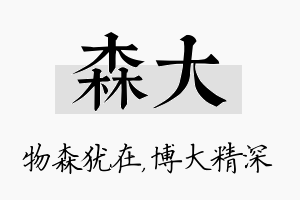 森大名字的寓意及含义