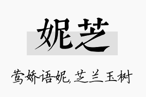 妮芝名字的寓意及含义