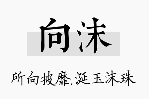 向沫名字的寓意及含义