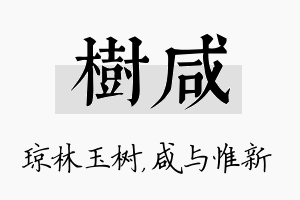 树咸名字的寓意及含义